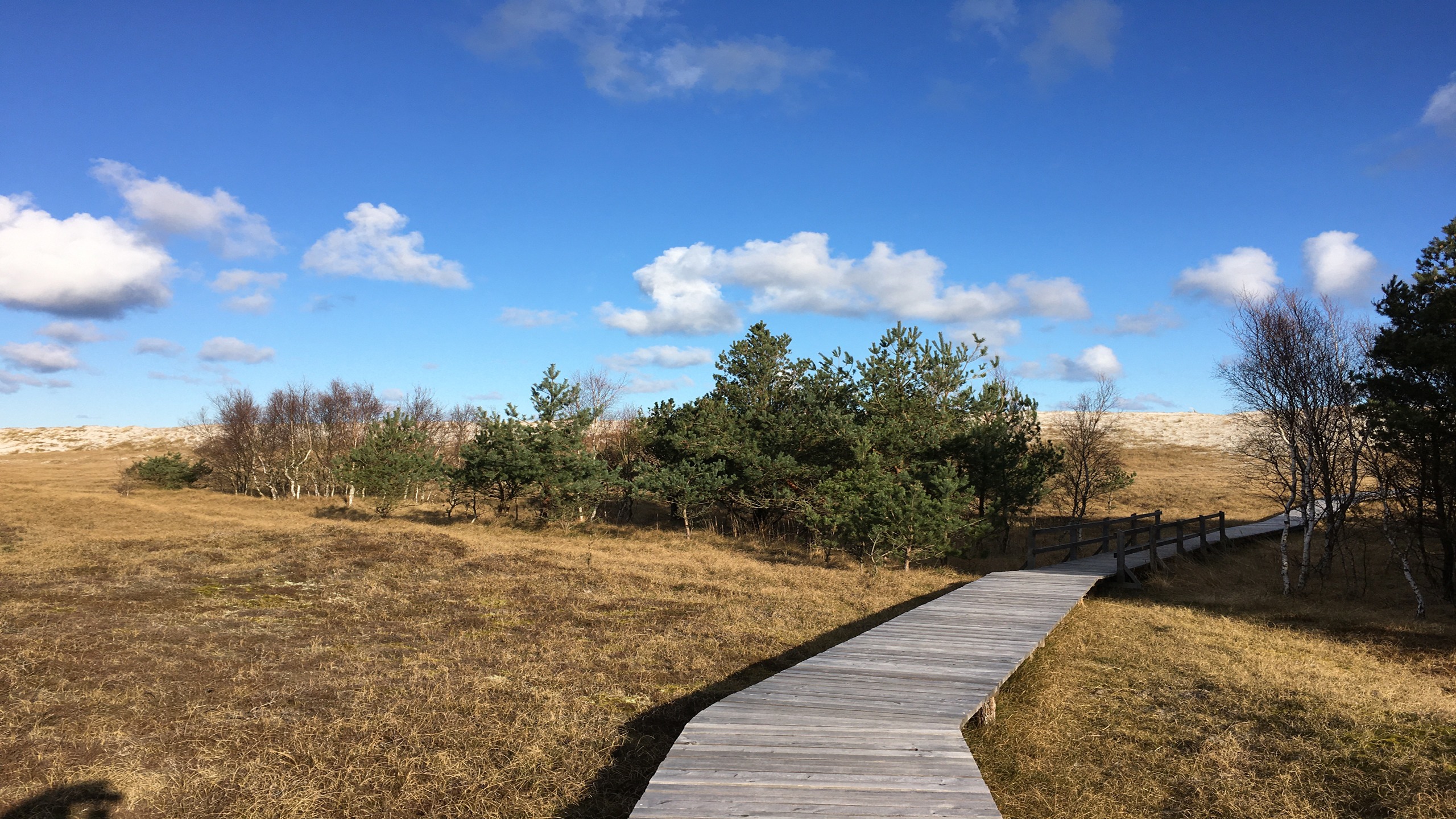 Hohe Düne-Zingst Hohe Düne-Zingst