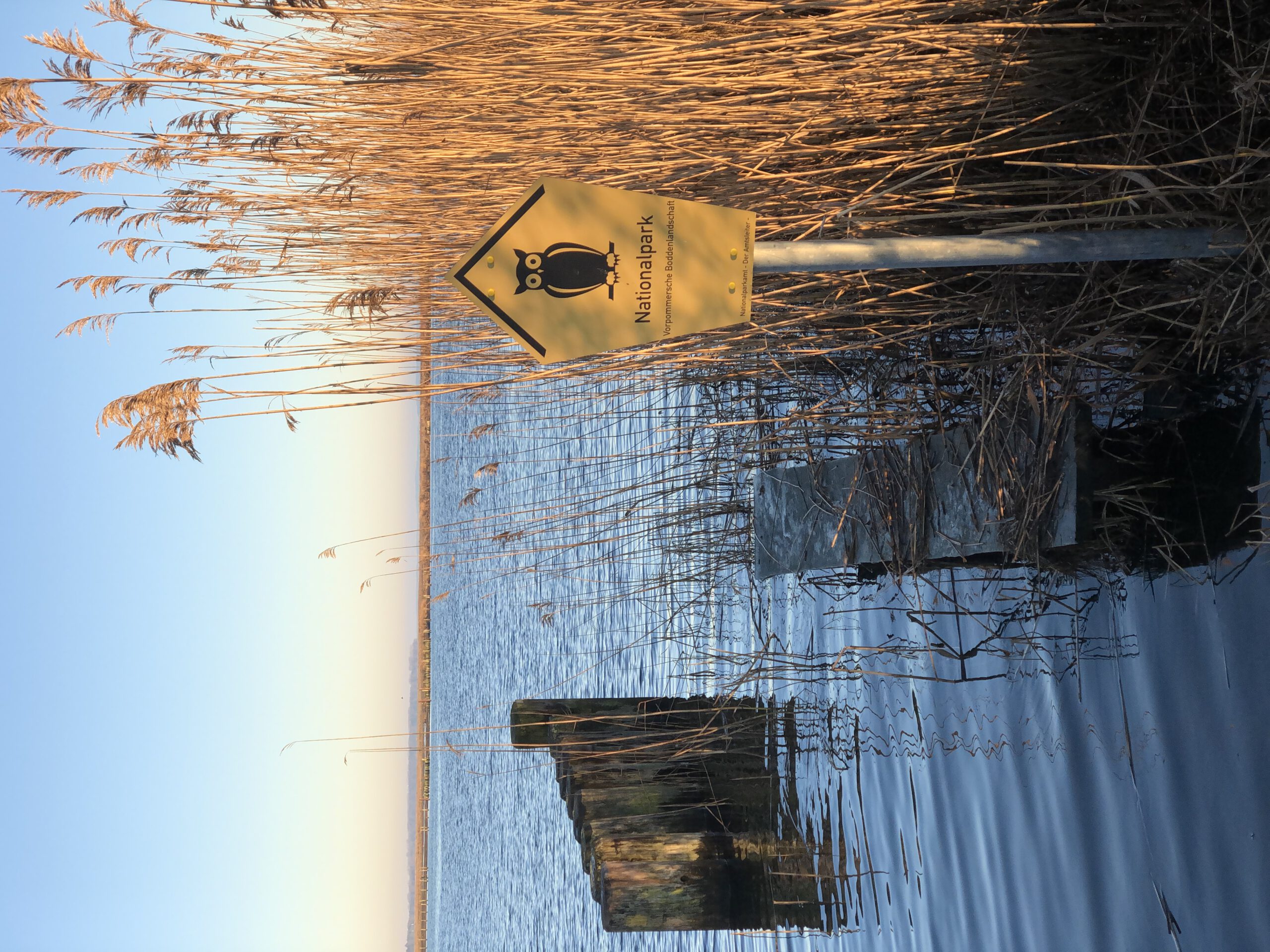 Boddenlandschaft Boddenlandschaft