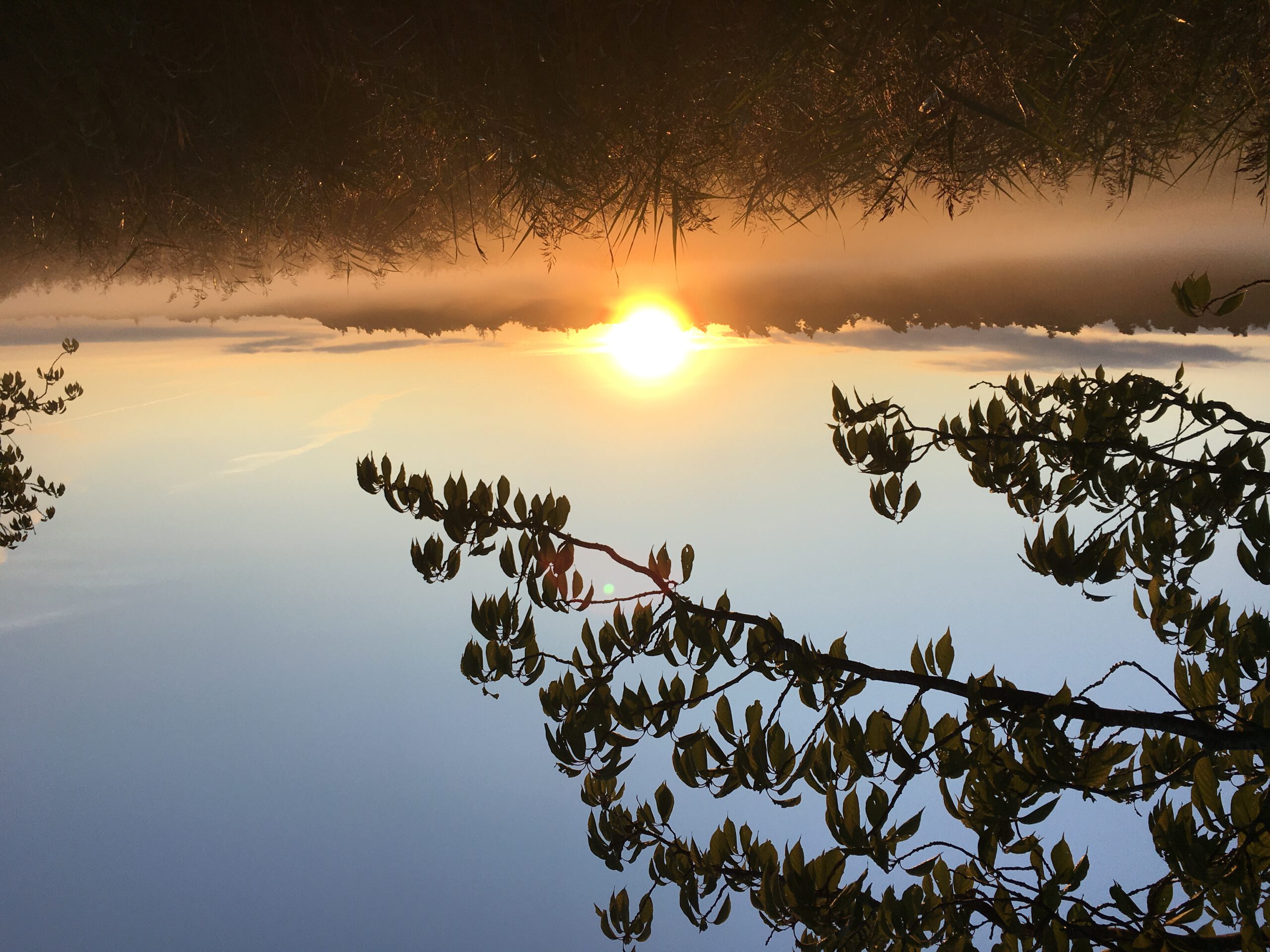 Sonnenaufgang über dem Bodden Sonnenaufgang über dem Bodden