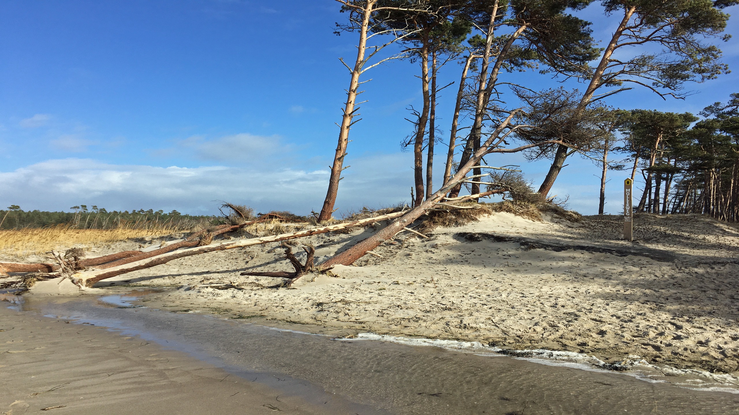 Müllerweg am Weststrand Müllerweg am Weststrand